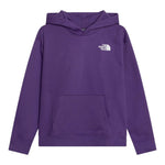 THE NORTH FACE felpa chiusa con cappuccio tinta unita con logo Viola per Bambino NF0A89HDNL4 VIOLA THE NORTH FACE