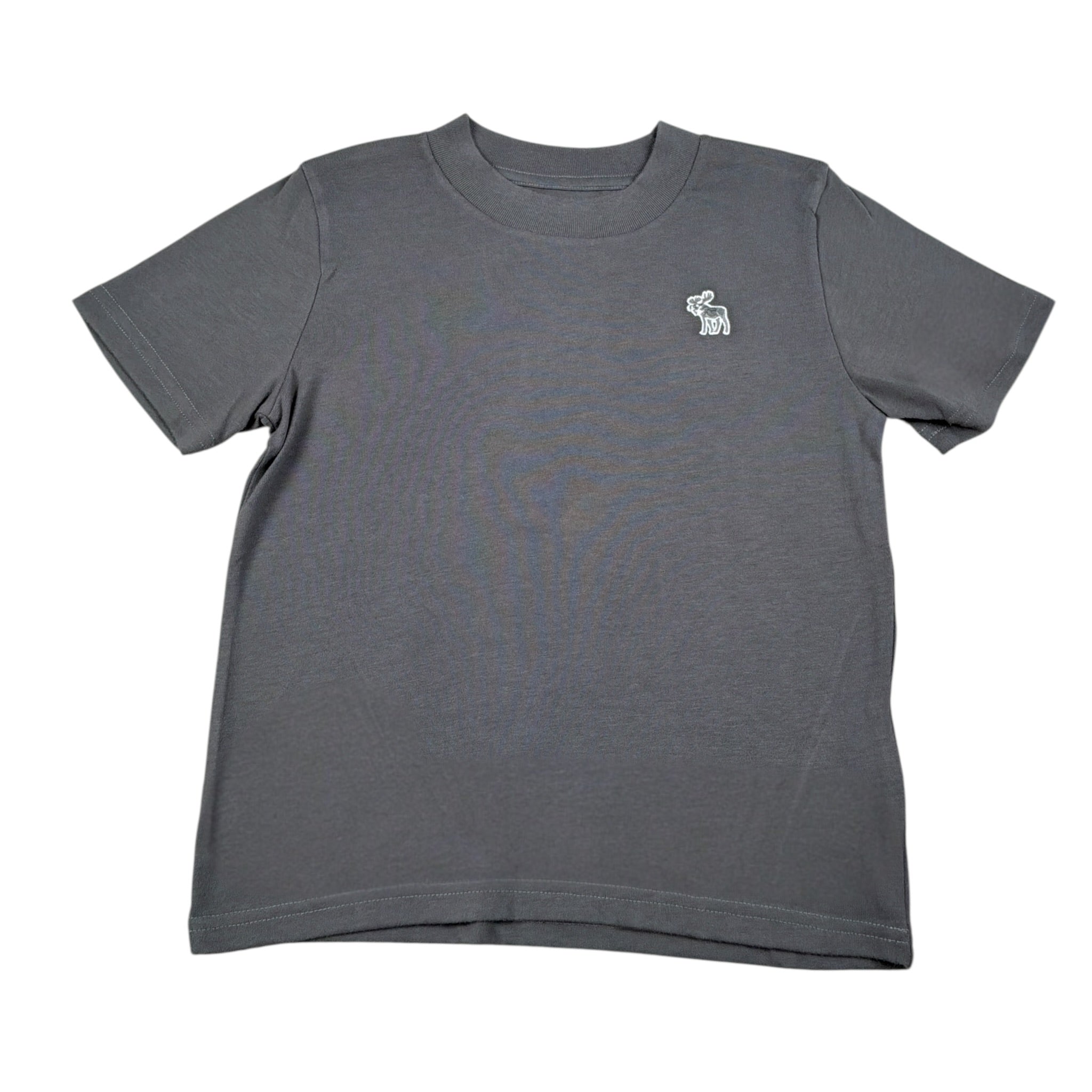 Abercrombie Kids T-Shirt tinta unita con Stampa Grigio per Bambino WIIWIW GRIGIO ABERCROMBIE KIDS 
