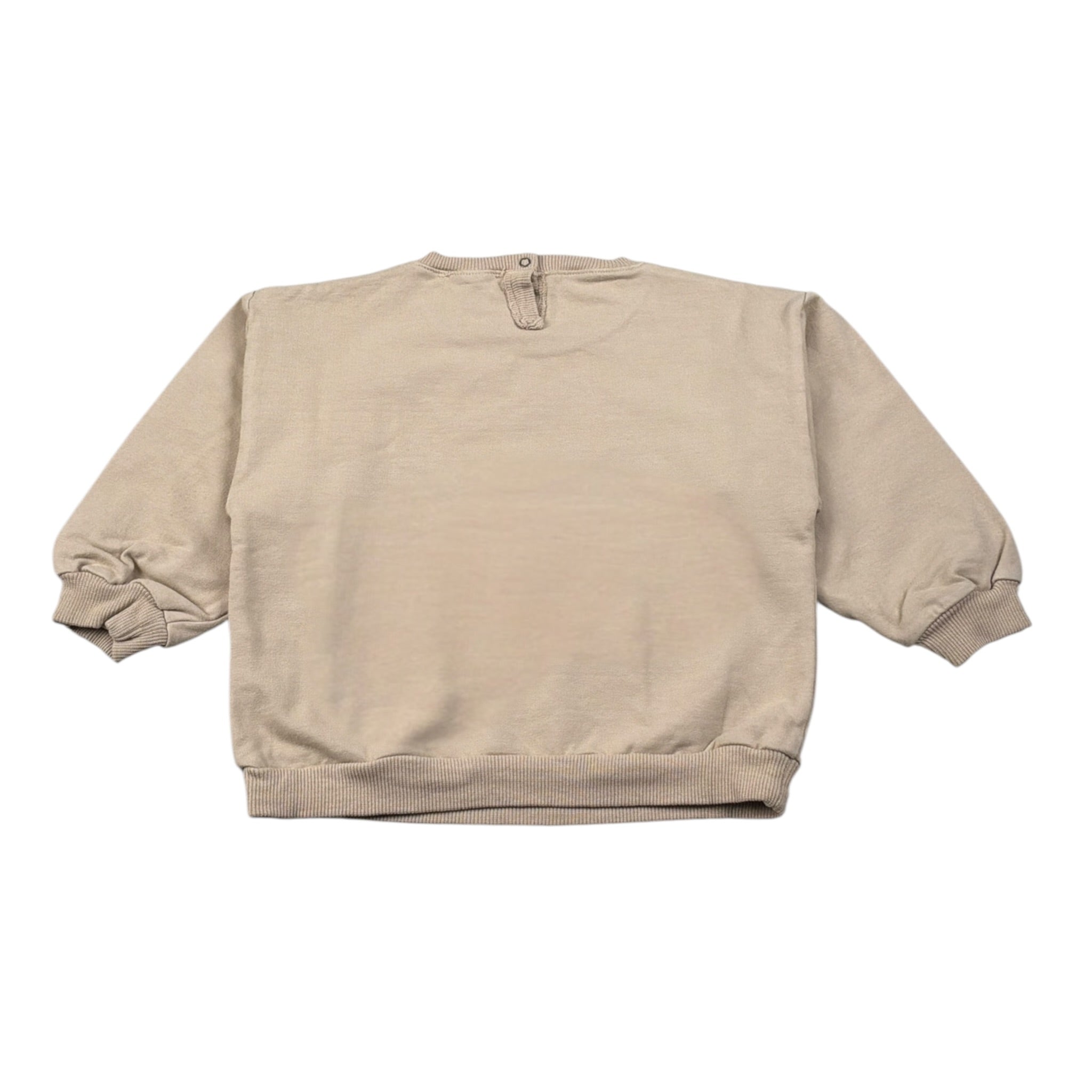 Babe & Tess Felpa Chiusa Girocollo tinta unita con Ricami Beige per Neonata 23/548110N BEIGE BABE & TESS 