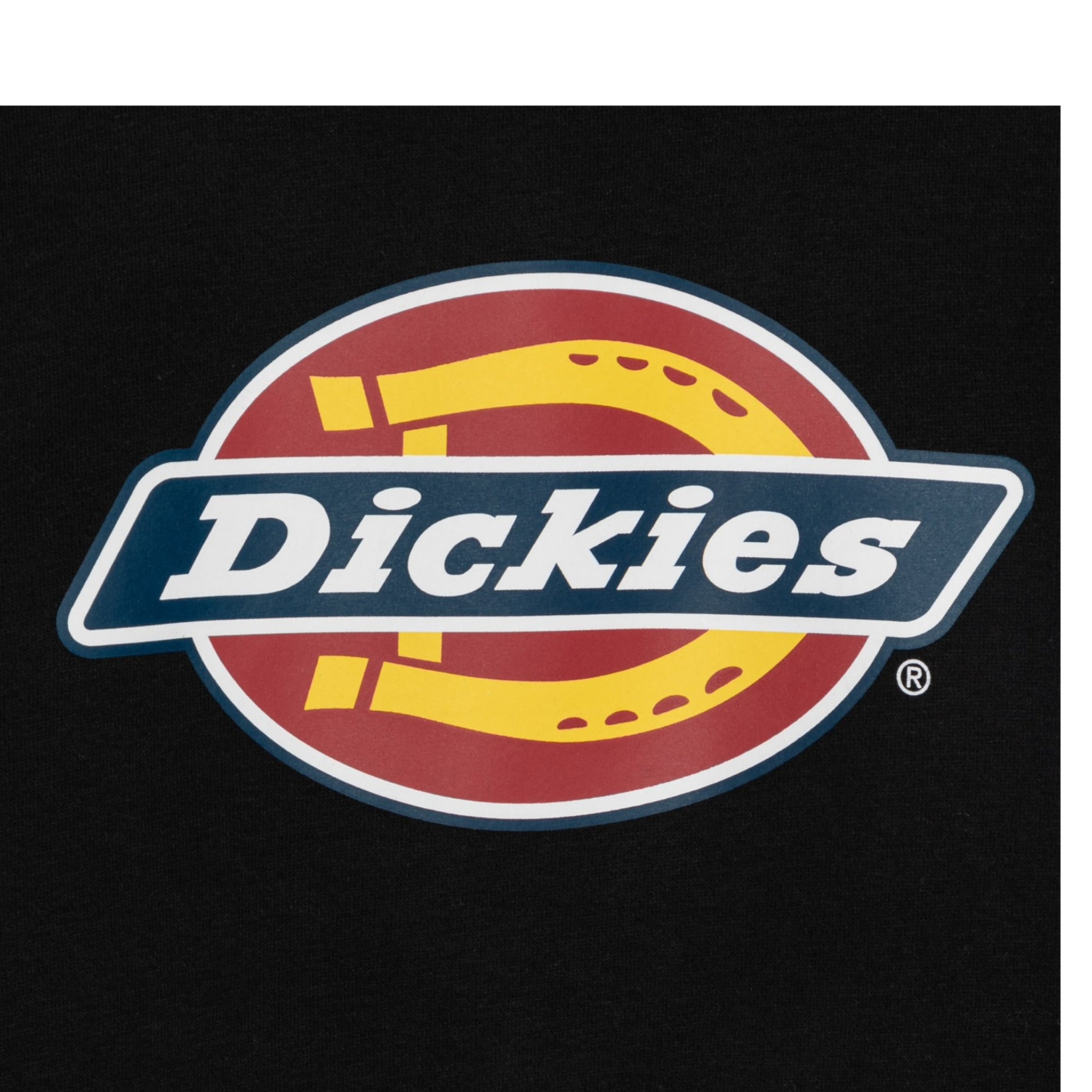 Dickies Felpa tinta unita con Cappuccio E Stampa Nero per Bambino DK0KWR27KBK1 NERO DICKIES 