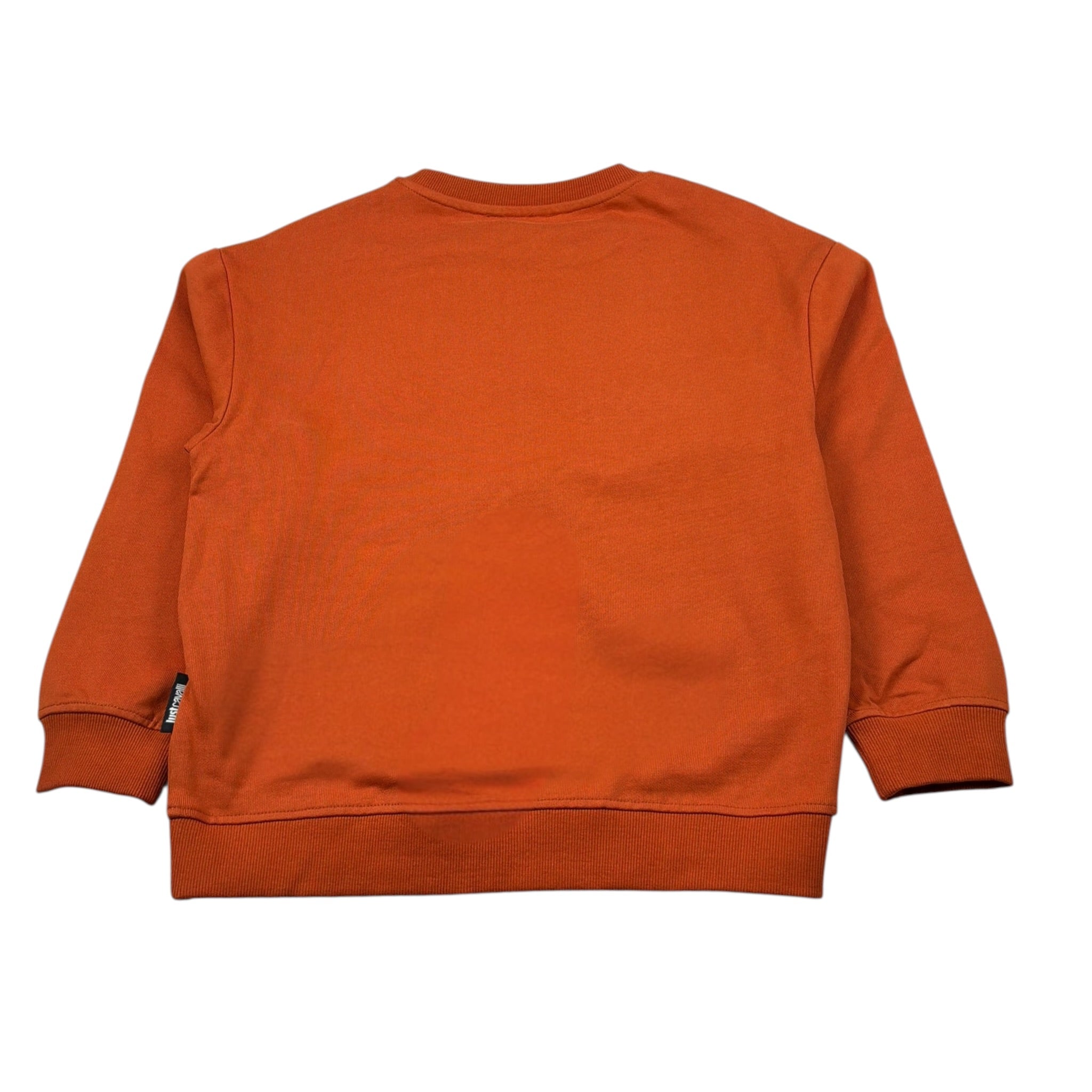 Just Cavalli Felpa Chiusa Girocollo tinta unita con Stampa Arancione per Bambino JBA26020FE ARANCIONE JUST CAVALLI 