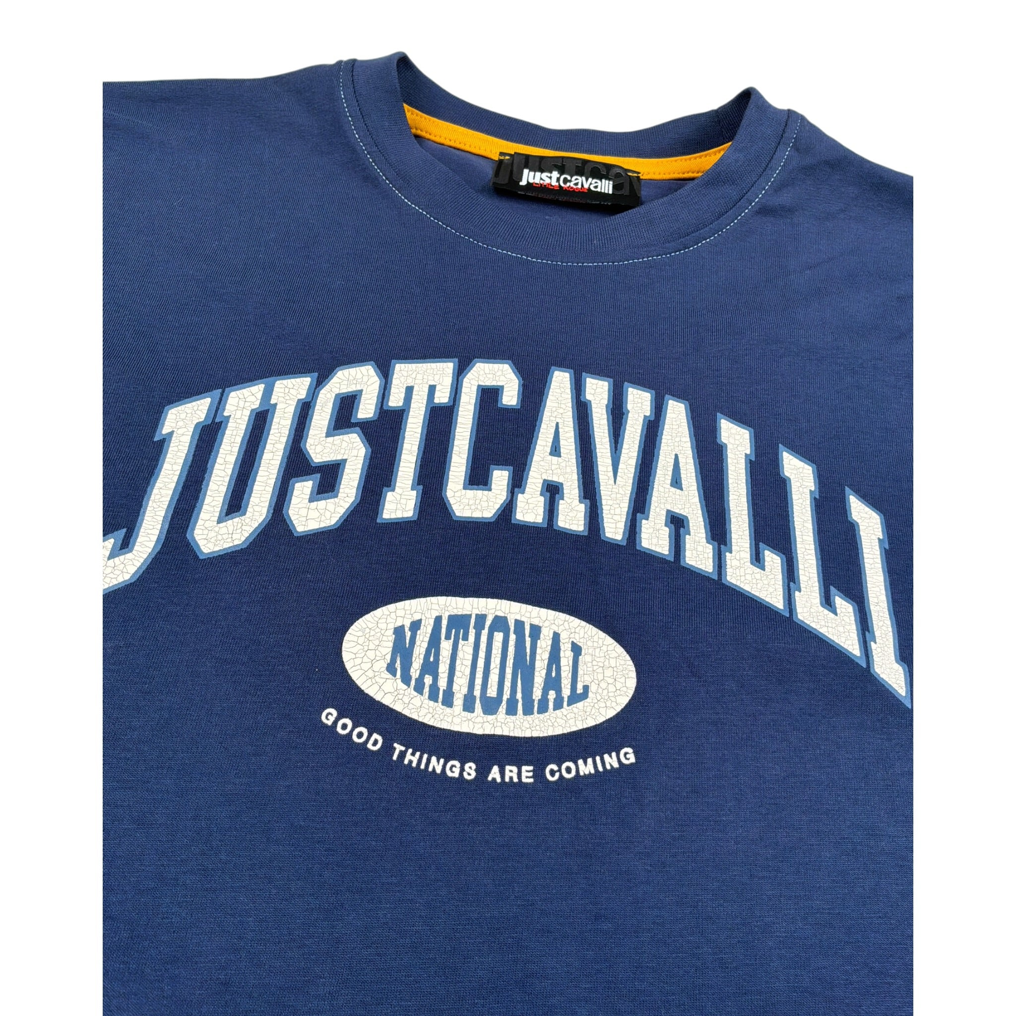 Just Cavalli T-Shirt Girocollo Tinta Unit con Stampa Blu per Bambino JBA26129TS BLU JUST CAVALLI 