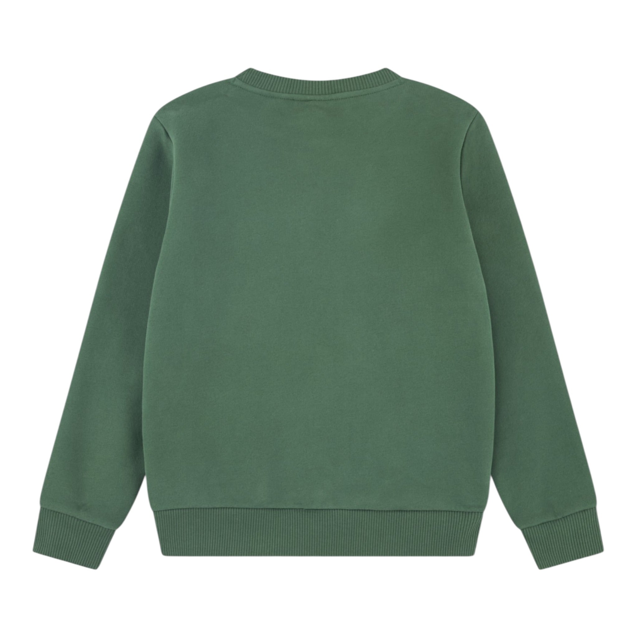 Lacoste Felpa Chiusa Girocollo tinta unita con Logo Verde per Bambino 947029 VERDE LACOSTE 