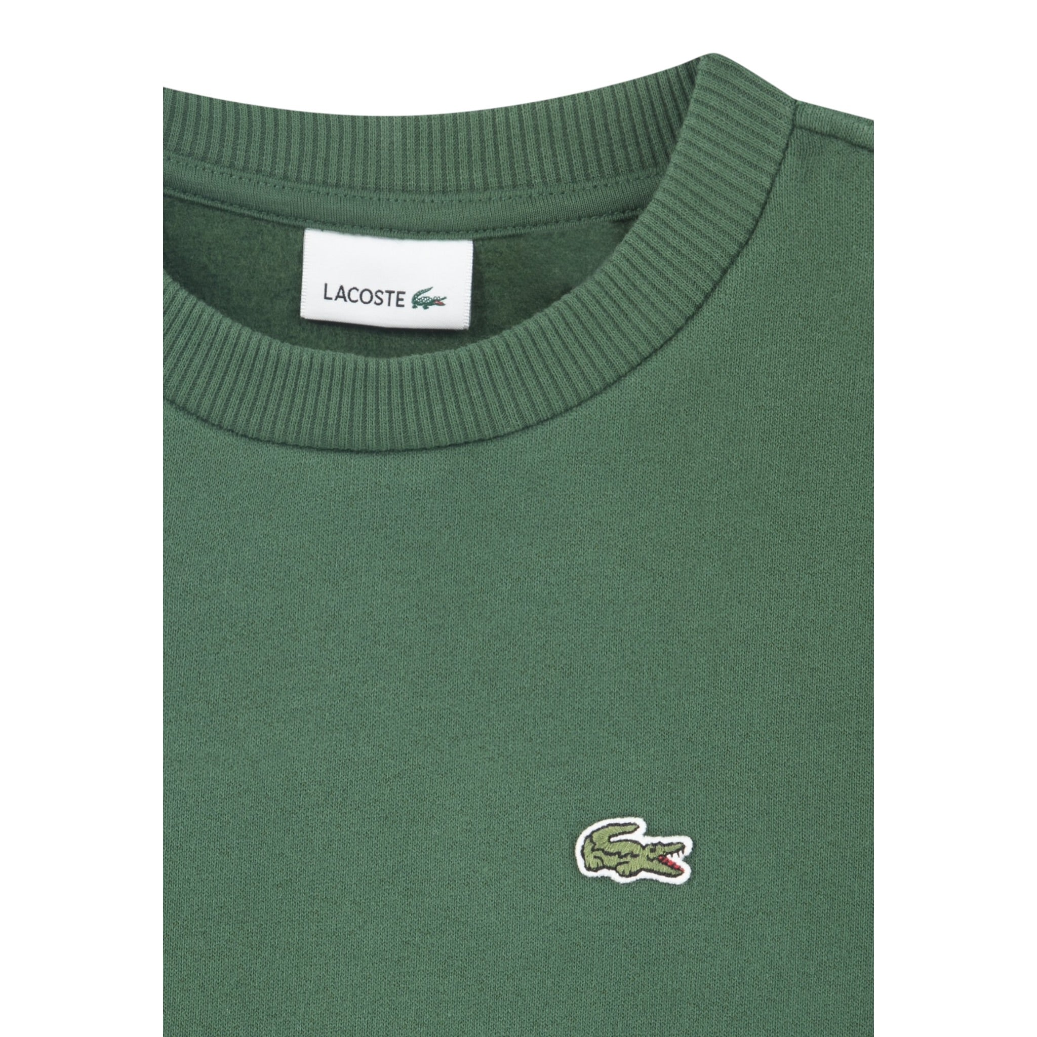 Lacoste Felpa Chiusa Girocollo tinta unita con Logo Verde per Bambino 947029 VERDE LACOSTE 