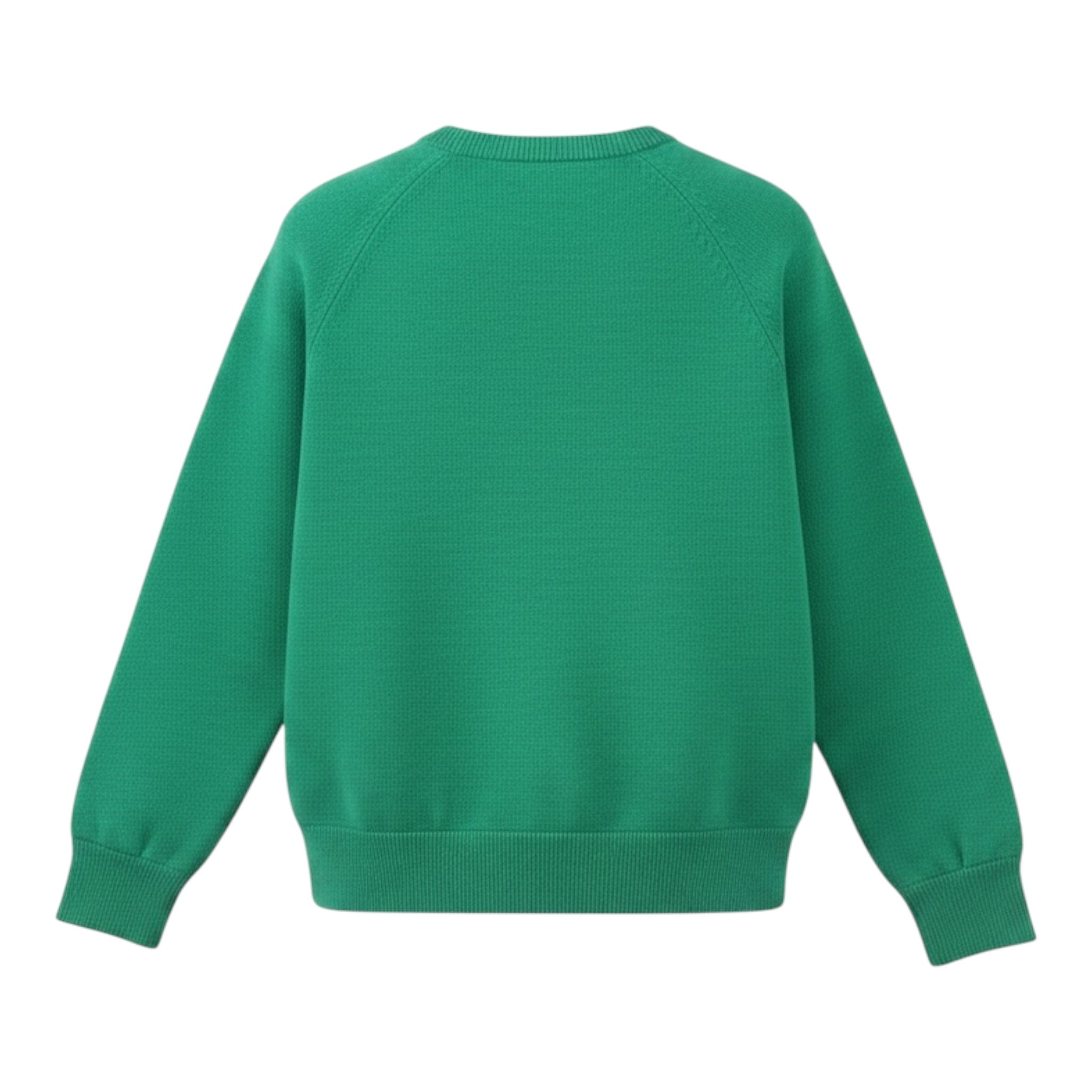 Saint Barth Maglia Girocollo tinta unita con Stampa Verde per Bambino REDMOND VERDE SAINT BARTH 