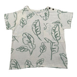 Play Up T-Shirt Girocollo Tinta Unita con Stampe per Bambino PA011AQ11055 PANNA PLAY UP 