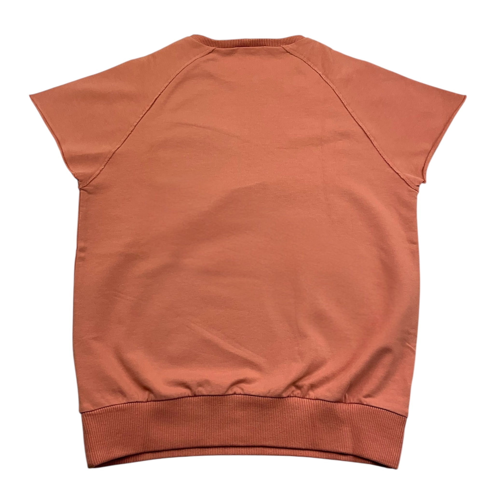 Zhoe & Tobiah Felpa Chiusa Girocollo Tinta Unita con Stampa per Bambino FEC11M ROSA ZHOE & TOBIAH 