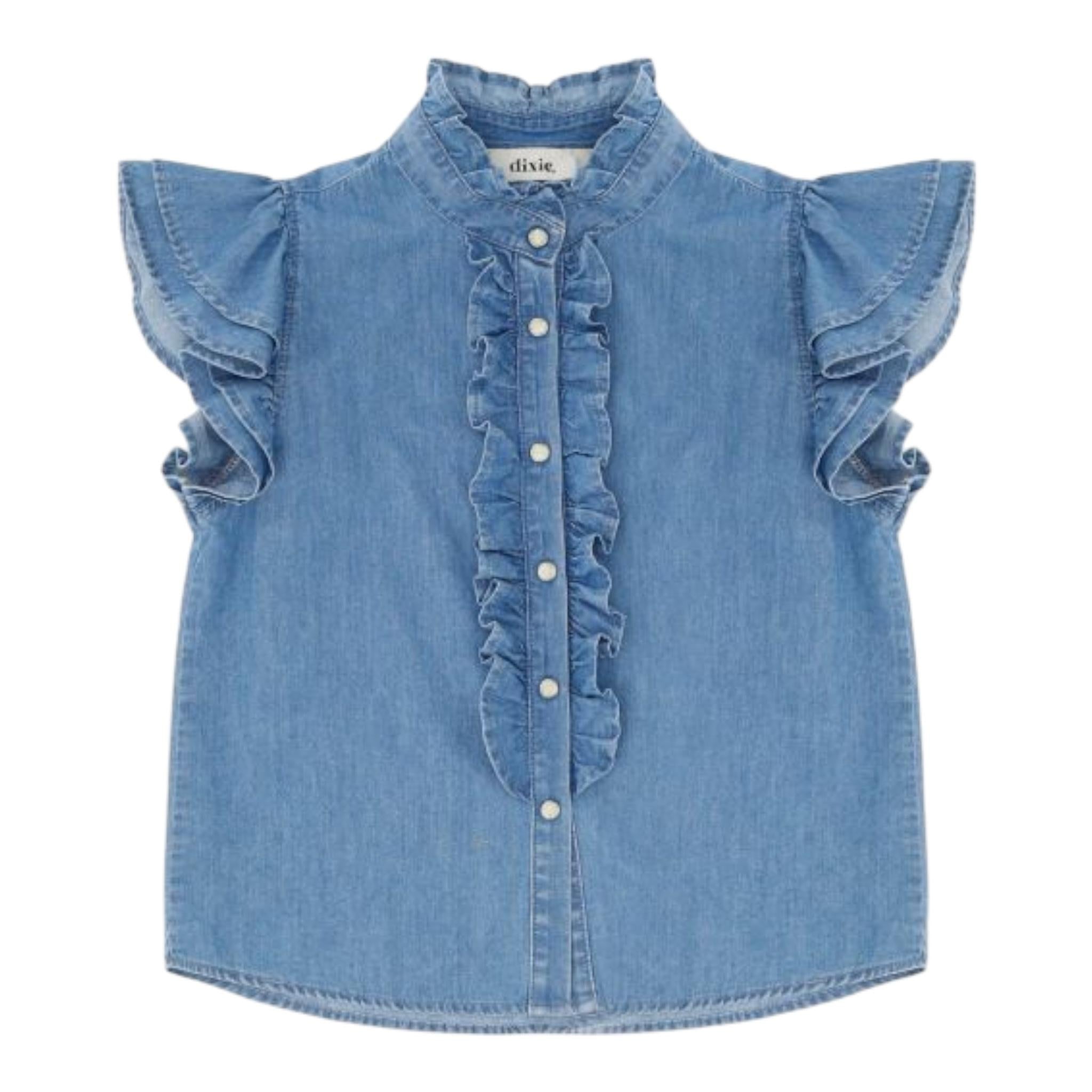 DIXIE CC13010G64BLU