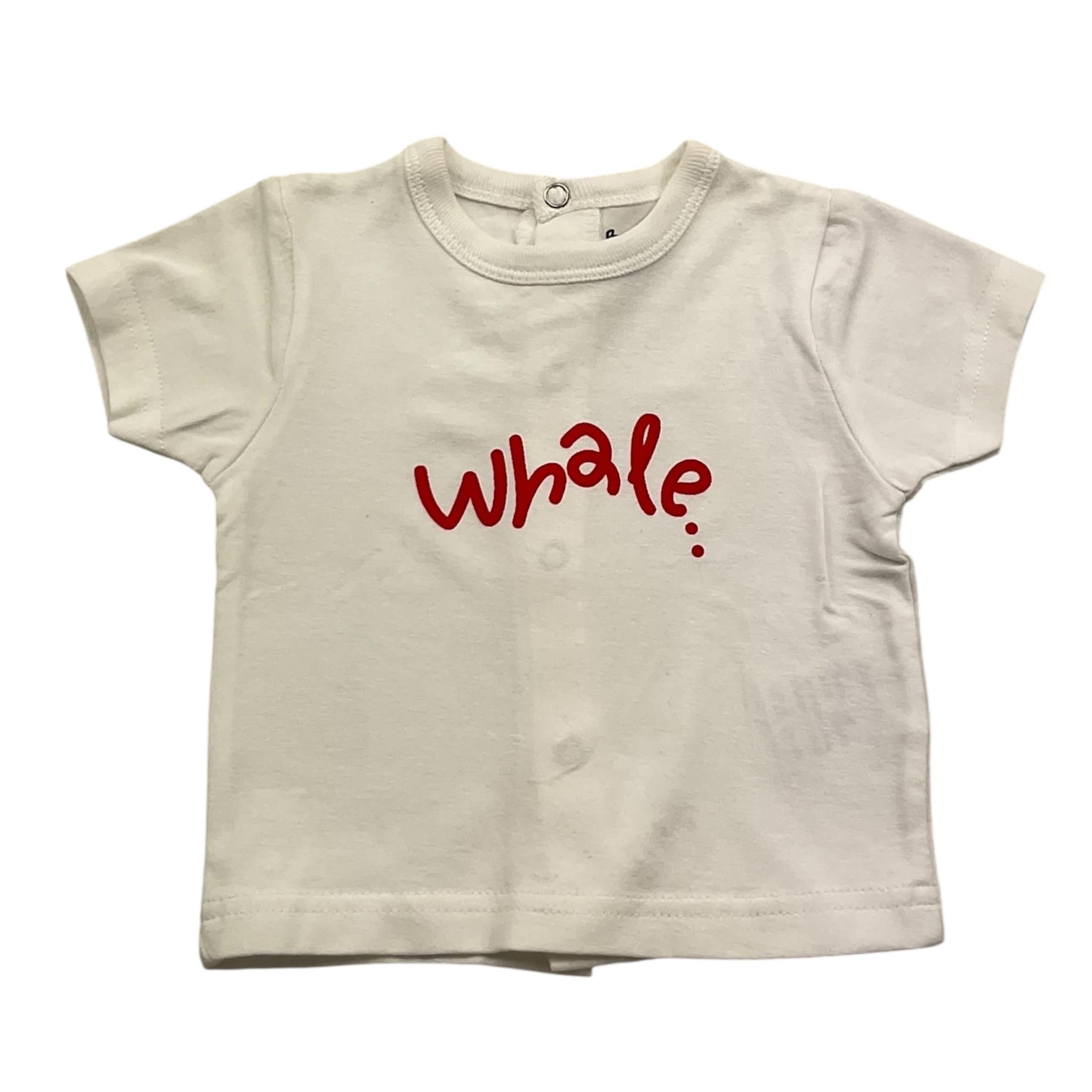 BABYBOL t.shirt mezza manica tinta unita cn logo Bianco per Neonato BDBB BIANCO BABYBOL 