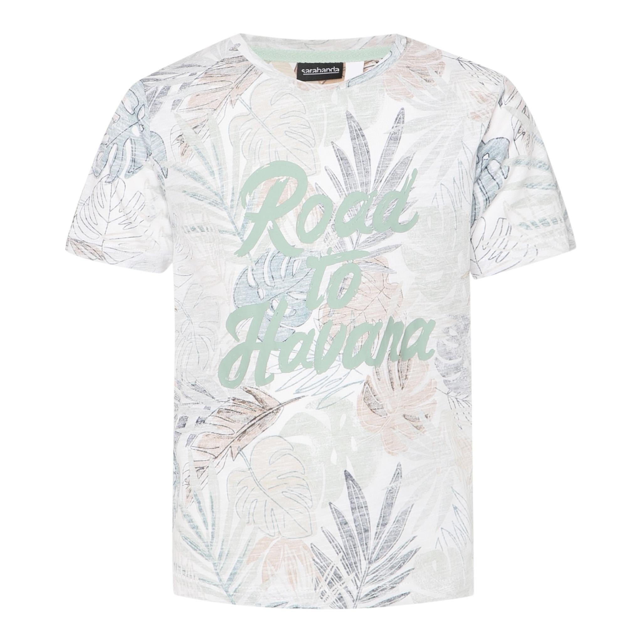 Sarabanda T-Shirt Tinta Unita con Fantasia per Bambino 0B140 GRIGIO SARABANDA 