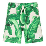 DOLCE & GABBANA L4JQS3VERDE