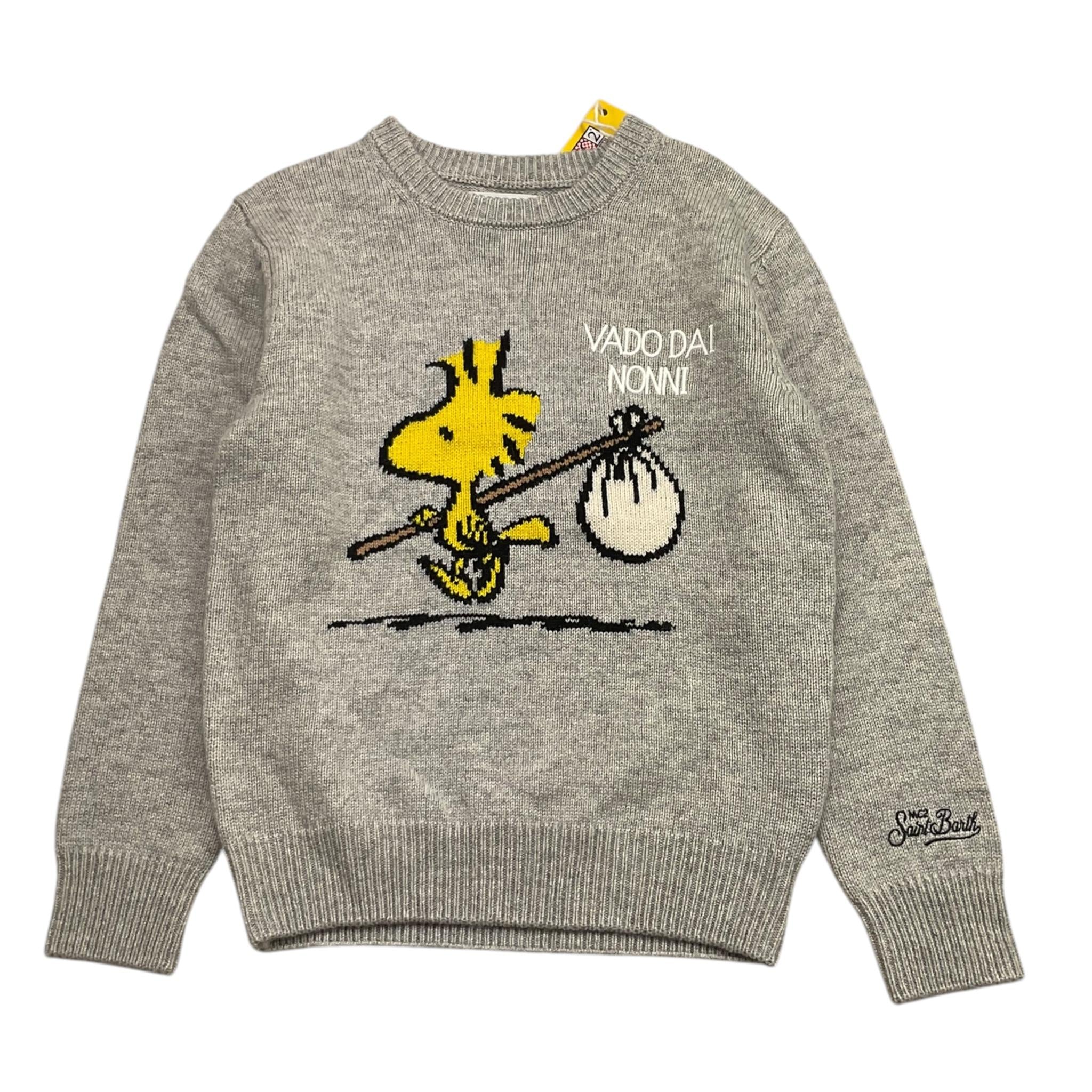 SAINT BARTH maglia tinta unita con stampa Grigio per Bambino WOODSTOCK GRIGIO SAINT BARTH 