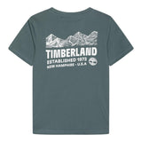 TIMBERLAND T60093VERDE