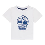 Timberland T-Shirt Girocollo Tinta Unita con Stampa per Bambino T60506X BIANCO TIMBERLAND 