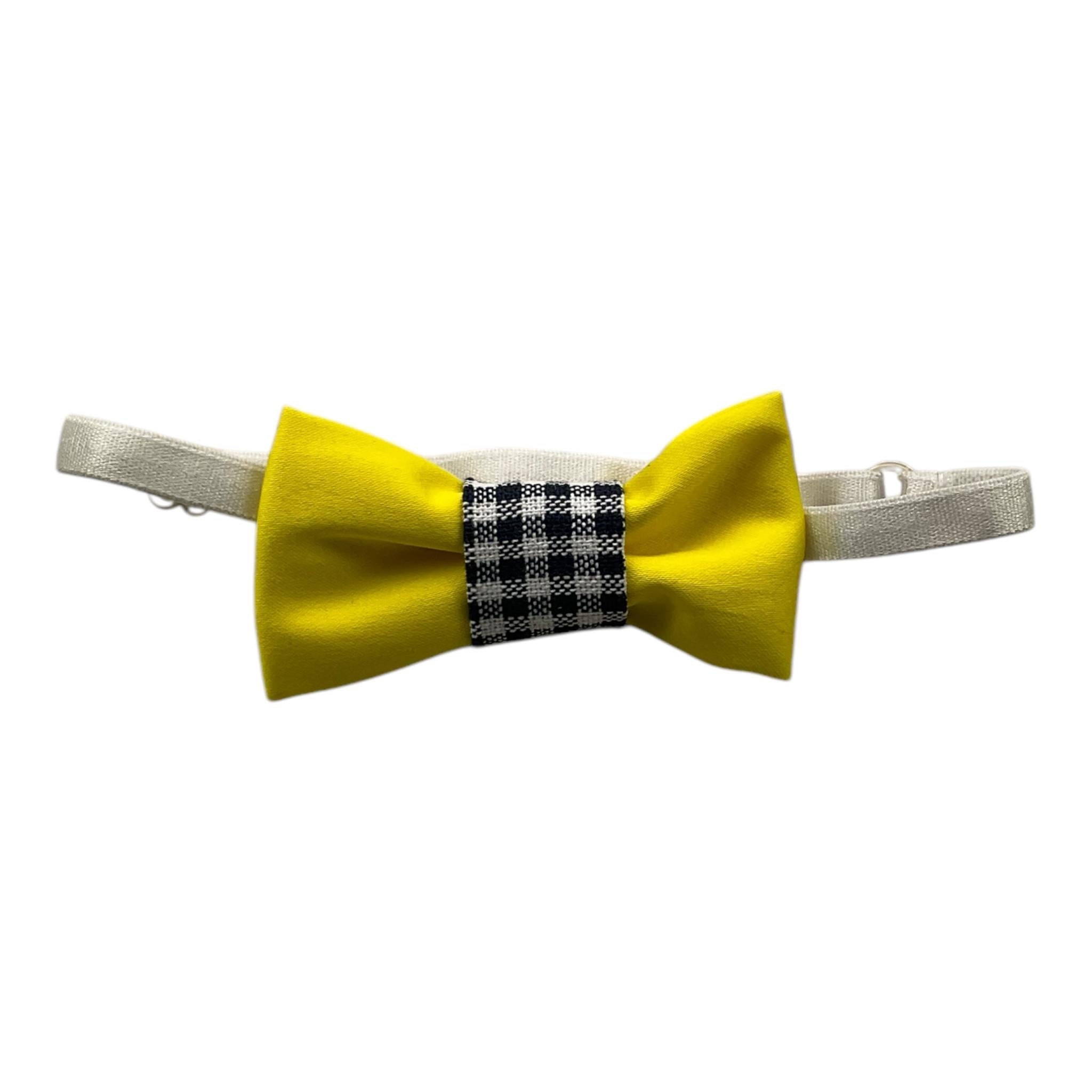 HILLY'S PPAPGIALLO