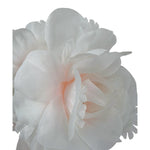 Gai Mattiolo Cerchietto Tinta Unita con Applicazioni per Bambina 200711 BIANCO GAI MATTIOLO 