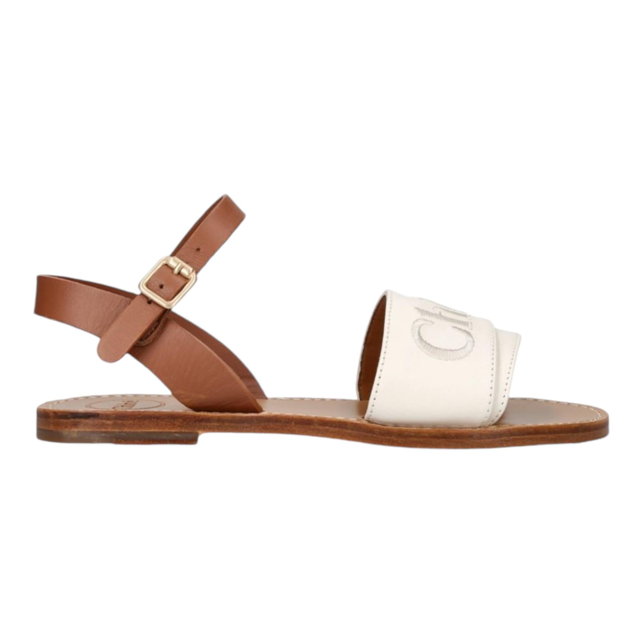 CHLOE' C20135MARRONE