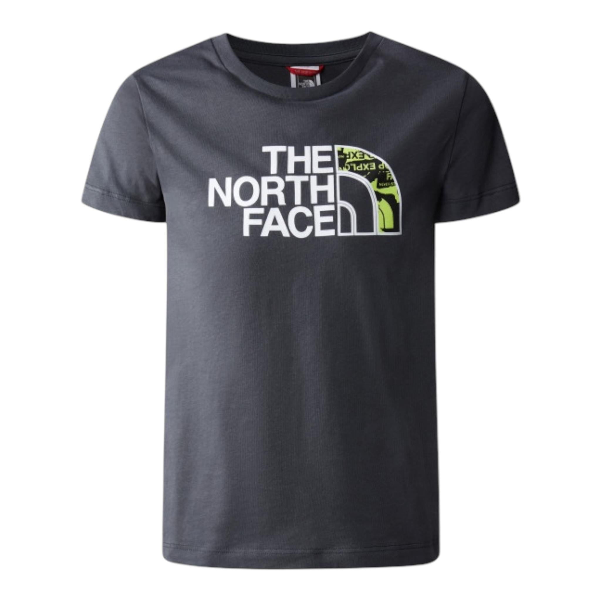 THE NORTH FACE NF0A82GH0C51GRIGIO