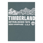 TIMBERLAND T60093VERDE