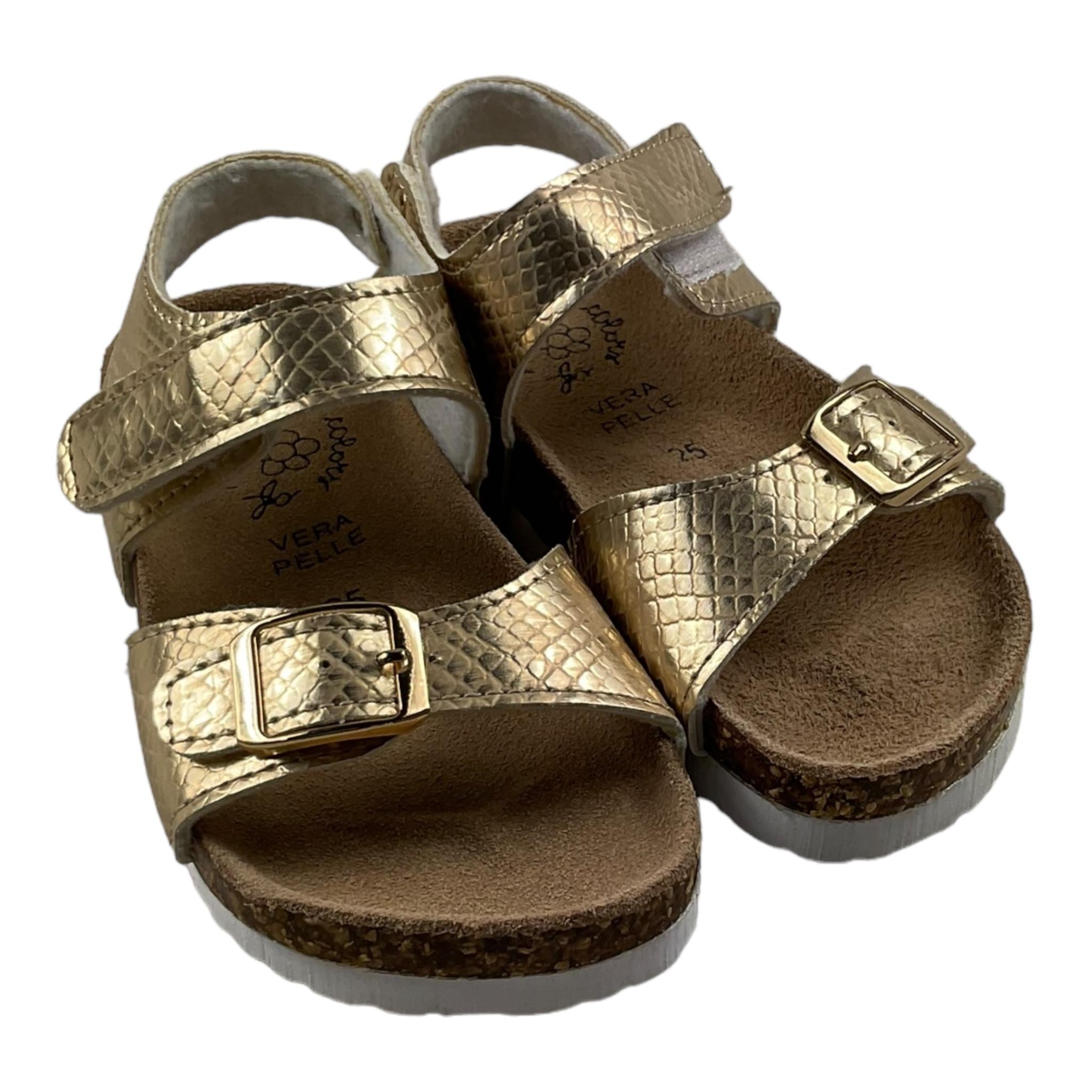 COLORS OF CALIFORNIA HC3122ORO
