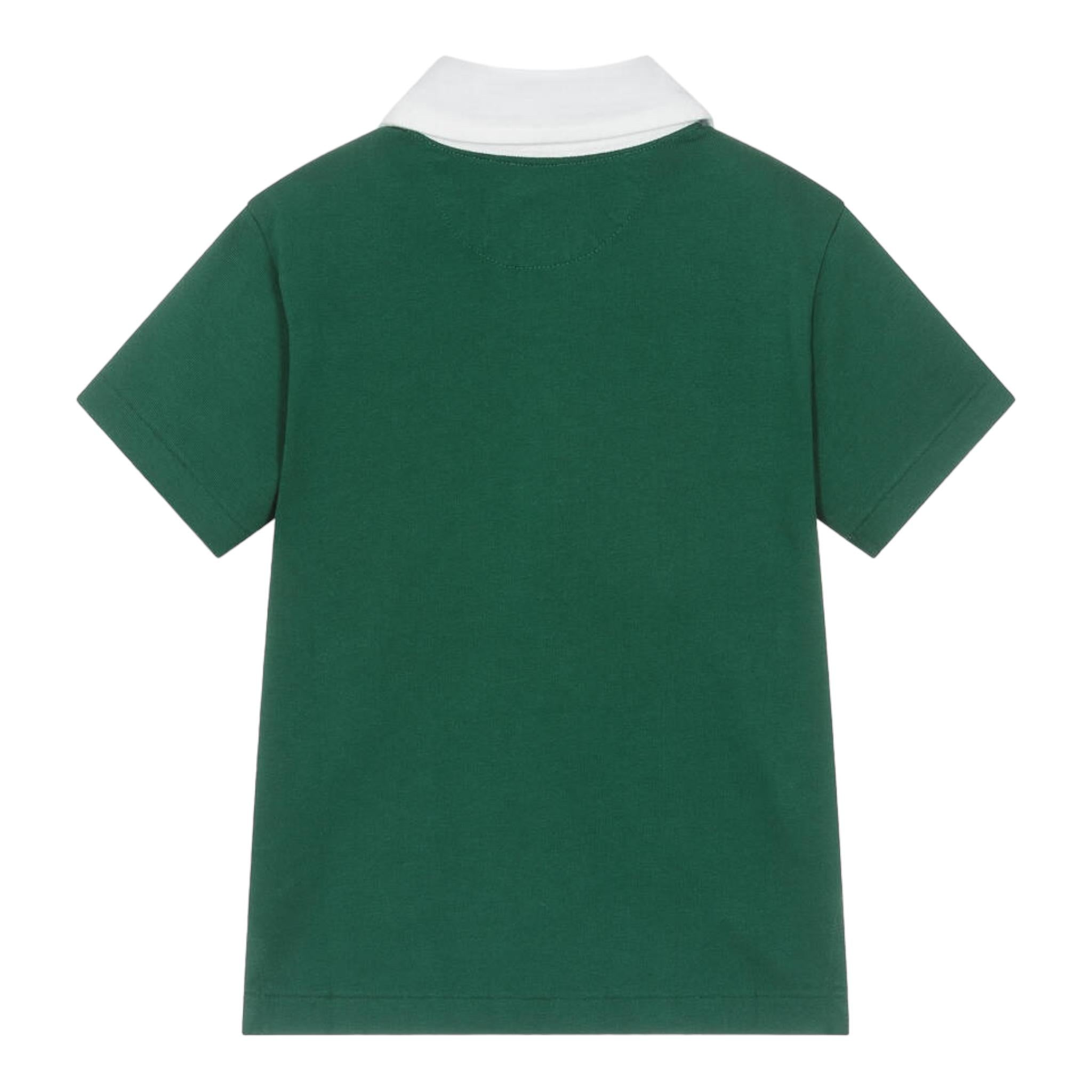RALPH LAUREN 322934392001VERDE