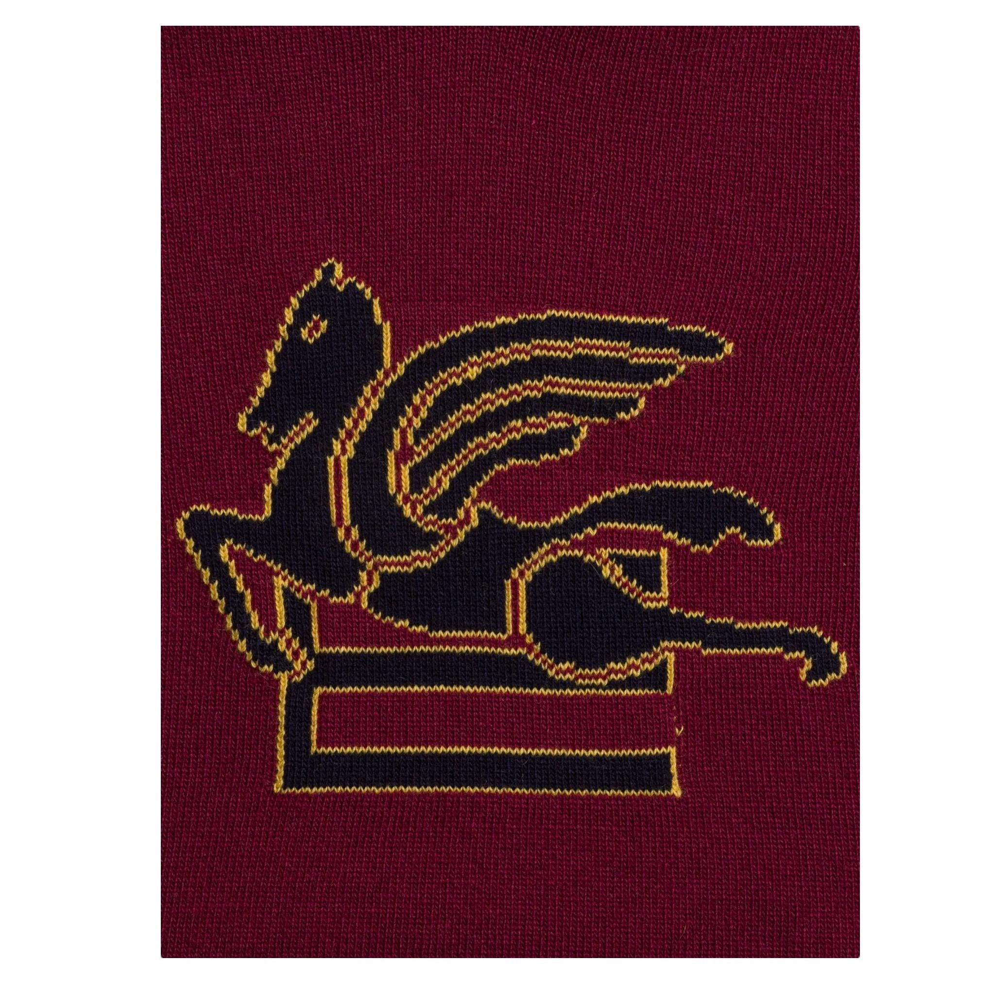 ETRO maglia girocollo tinta unita con ricami in contrasto Bordeaux per Bambino GV9P30 BORDEAUX ETRO 