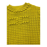 ELISABETTA FRANCHI EGCD004JXVERDE ACIDO