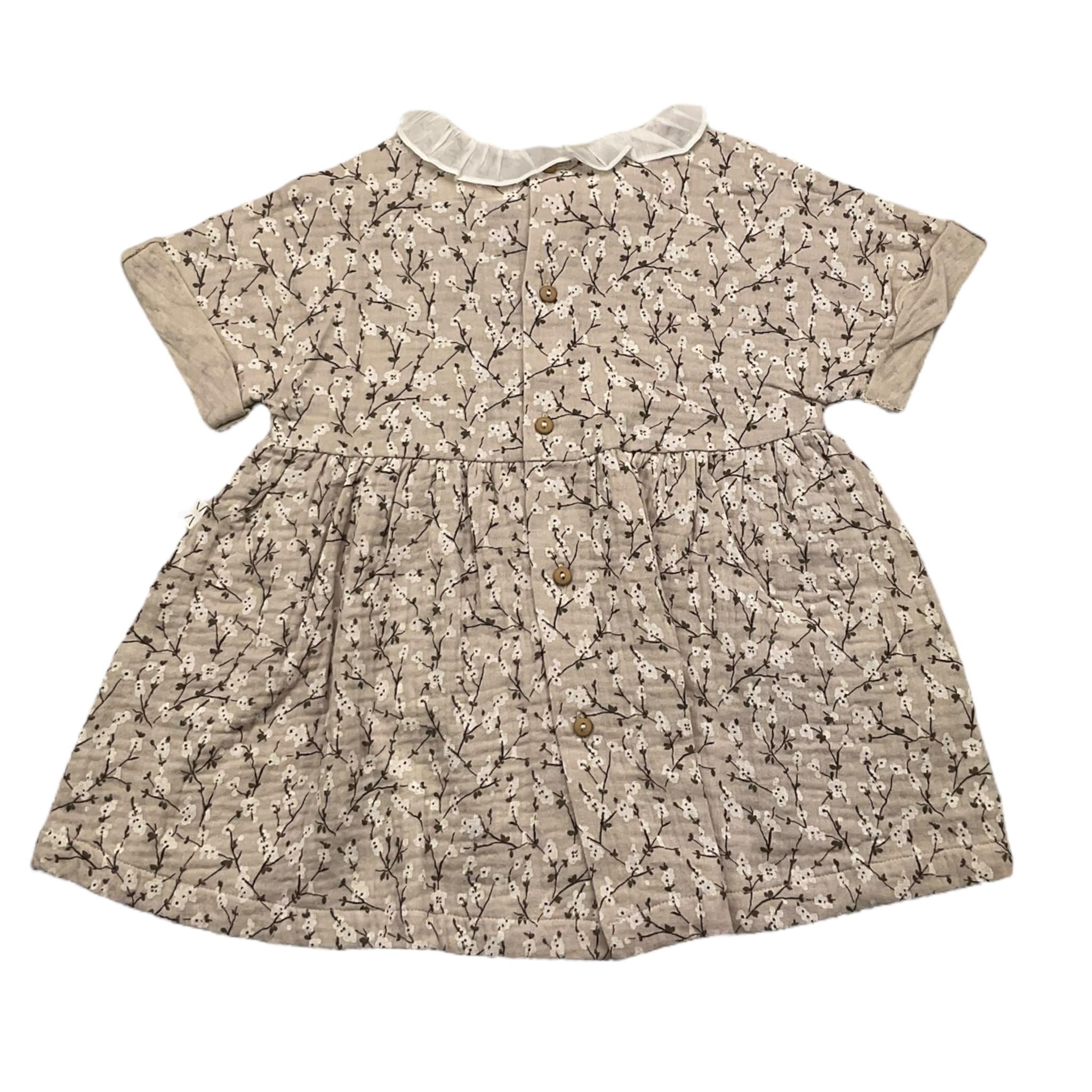 TEDDY E MINOU E24AB022C4113BEIGE