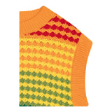 N°21 Gilet Multicolor Con Ricami Multicolor Per Bambina