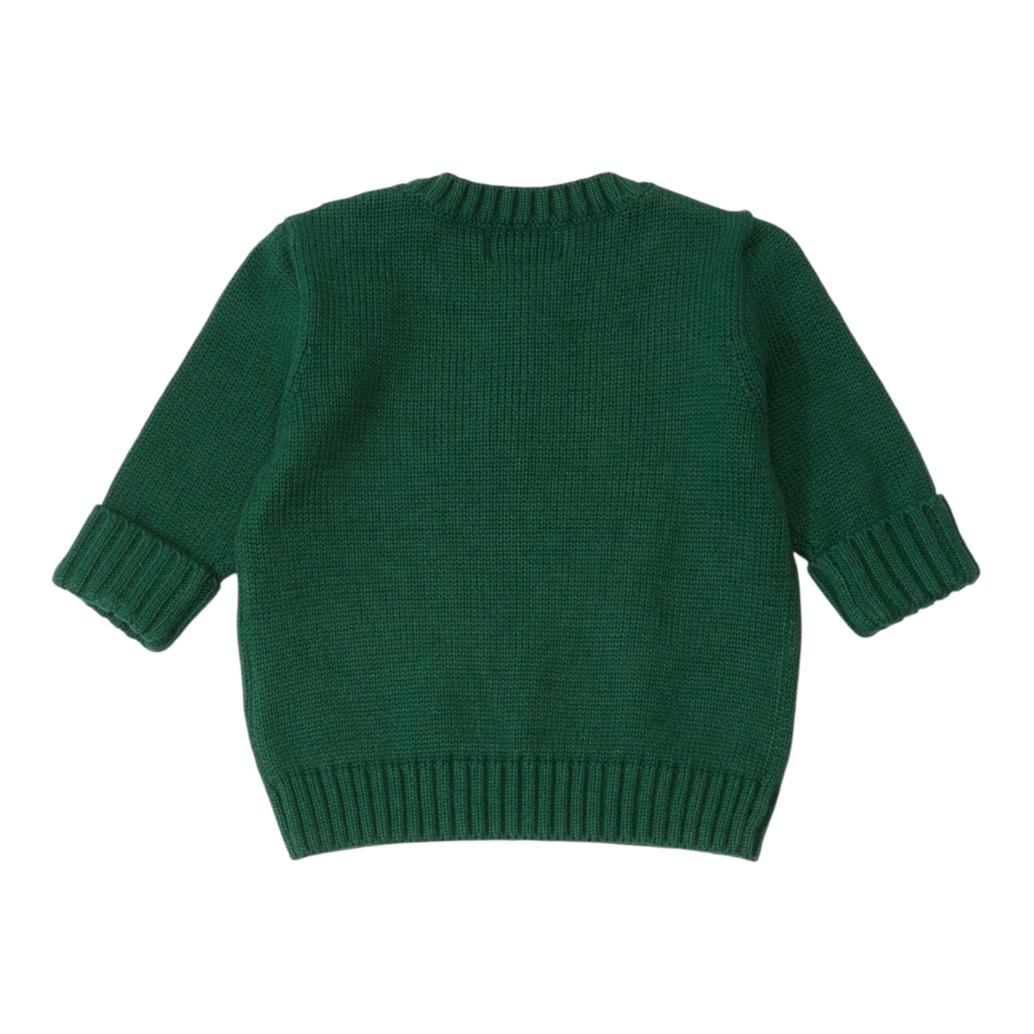 RALPH LAUREN maglia girocollo tinta unita con ricamo cane Verde per Neonato 320951156001 VERDE RALPH LAUREN 