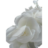 Les Gamins Cerchietto Tinta Unita con Applicazioni per Bambina 707022 PANNA LES GAMINS 