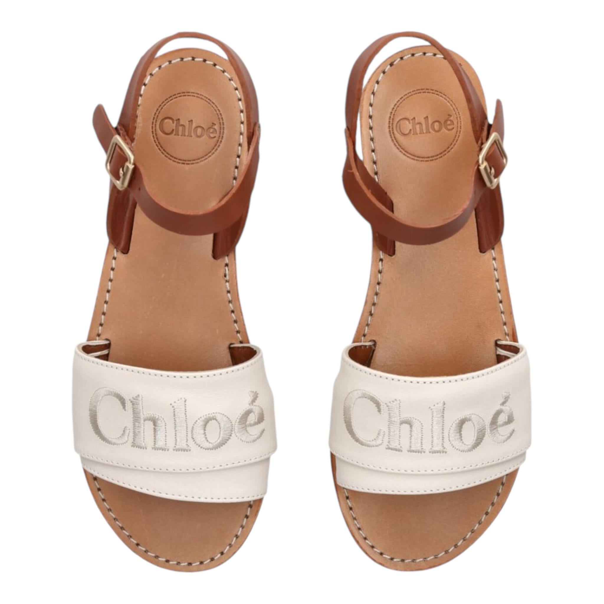 CHLOE' C20135MARRONE
