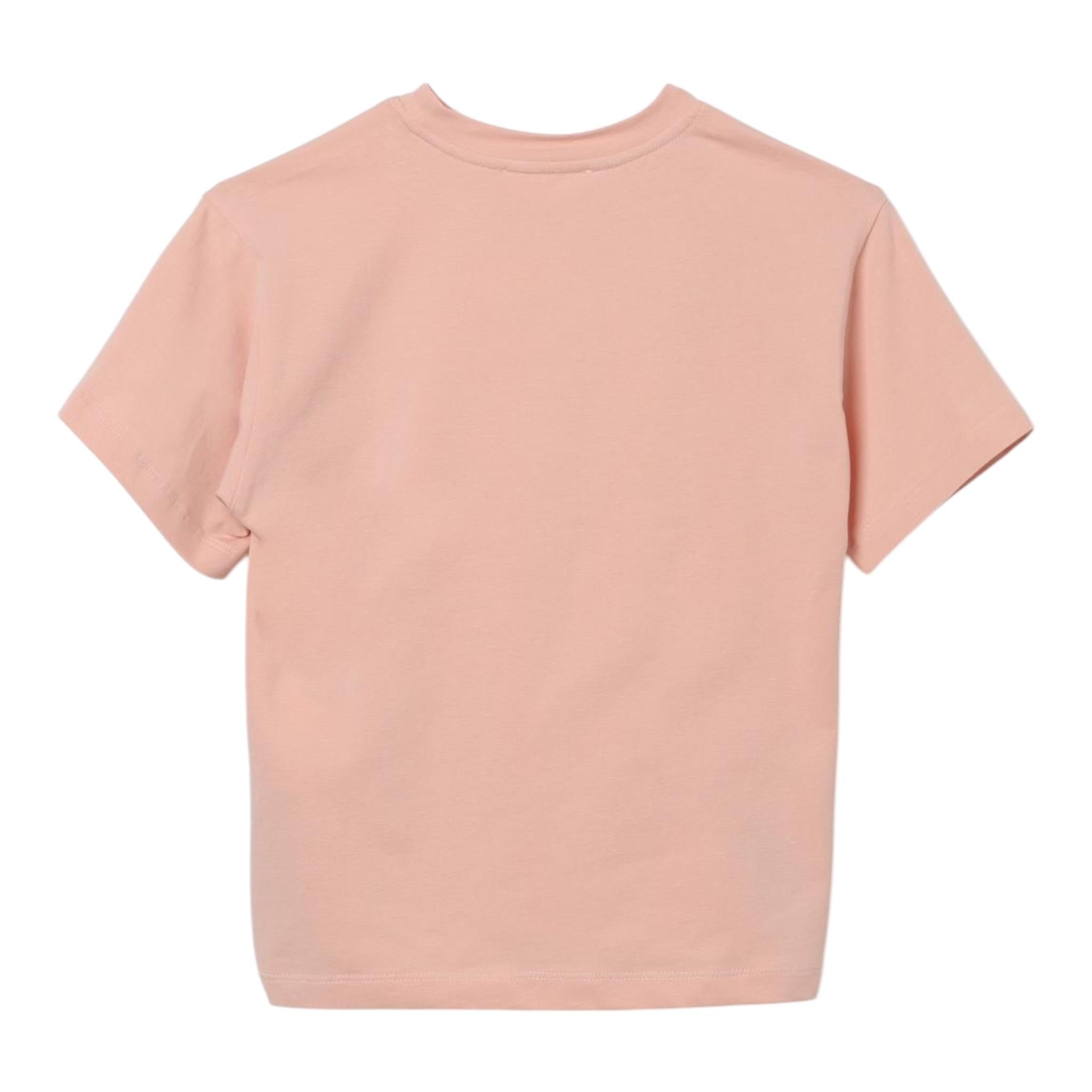 ELISABETTA FRANCHI EFTS208ROSA