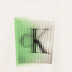 Calvin Klein T-Shirt Girocollo Tinta Unita con Stampa per Bambino IBO2356T01 PANNA CALVIN KLEIN 