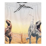 Molo Costume Modello Box Tinta Unita con Stampa Dinosauri per Bambino BW22P401 GRIGIO MOLO 