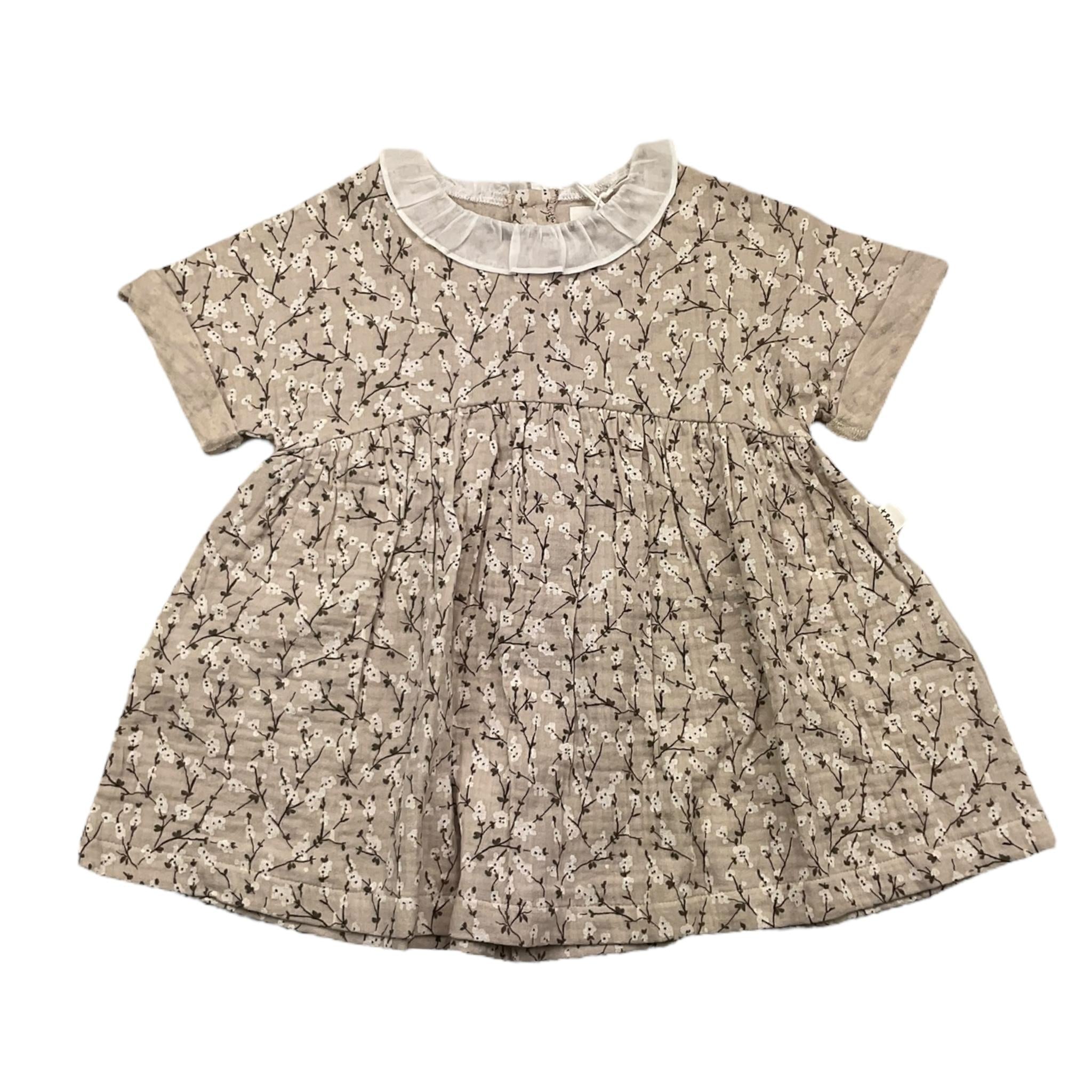 TEDDY E MINOU E24AB022C4113BEIGE