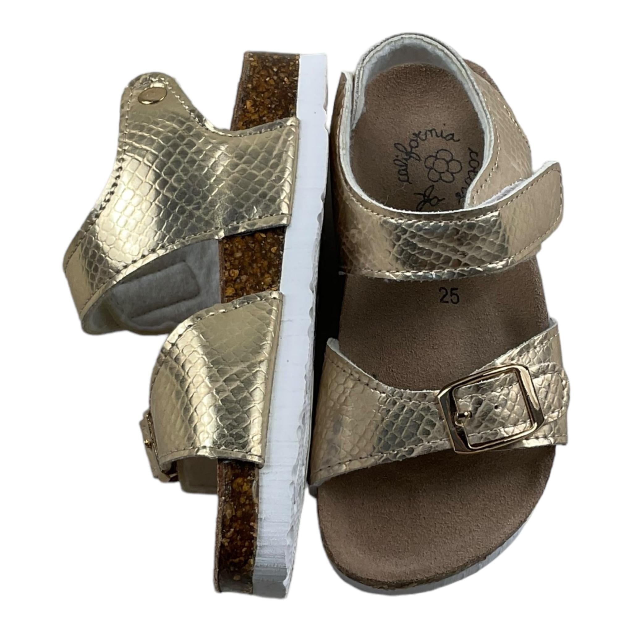 COLORS OF CALIFORNIA C3122ORO