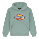 DICKIES felpa chiusa con cappuccio tinta unita con logo Verde acqua per Bambina DK0KWR27J591 VERDE ACQUA DICKIES 