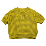 ELISABETTA FRANCHI EGCD004JXVERDE ACIDO