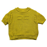 ELISABETTA FRANCHI EGCD004JXVERDE ACIDO