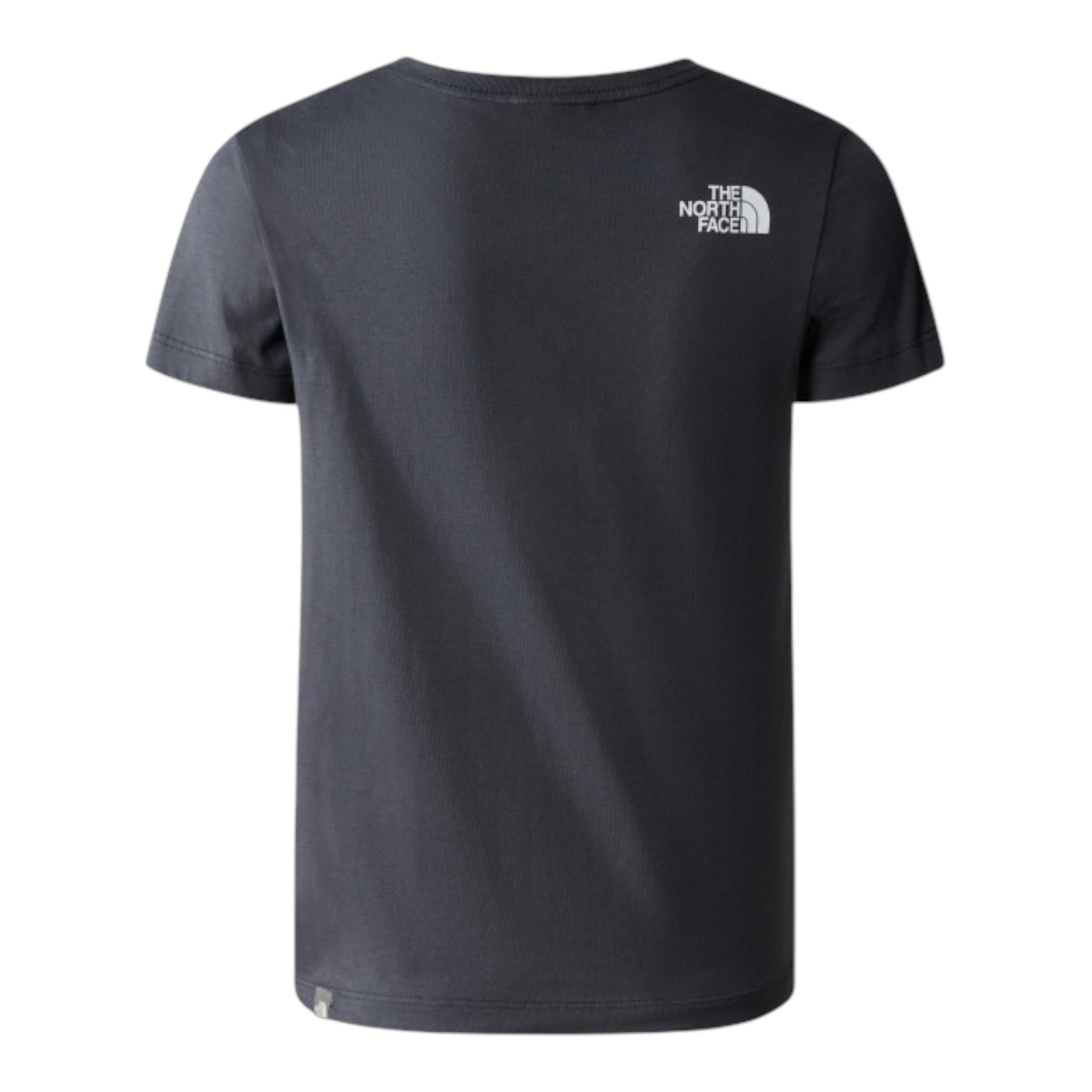 THE NORTH FACE NF0A82GH0C51GRIGIO