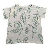 Play Up T-Shirt Girocollo Tinta Unita con Stampe per Bambino PA011AQ11055 PANNA PLAY UP 